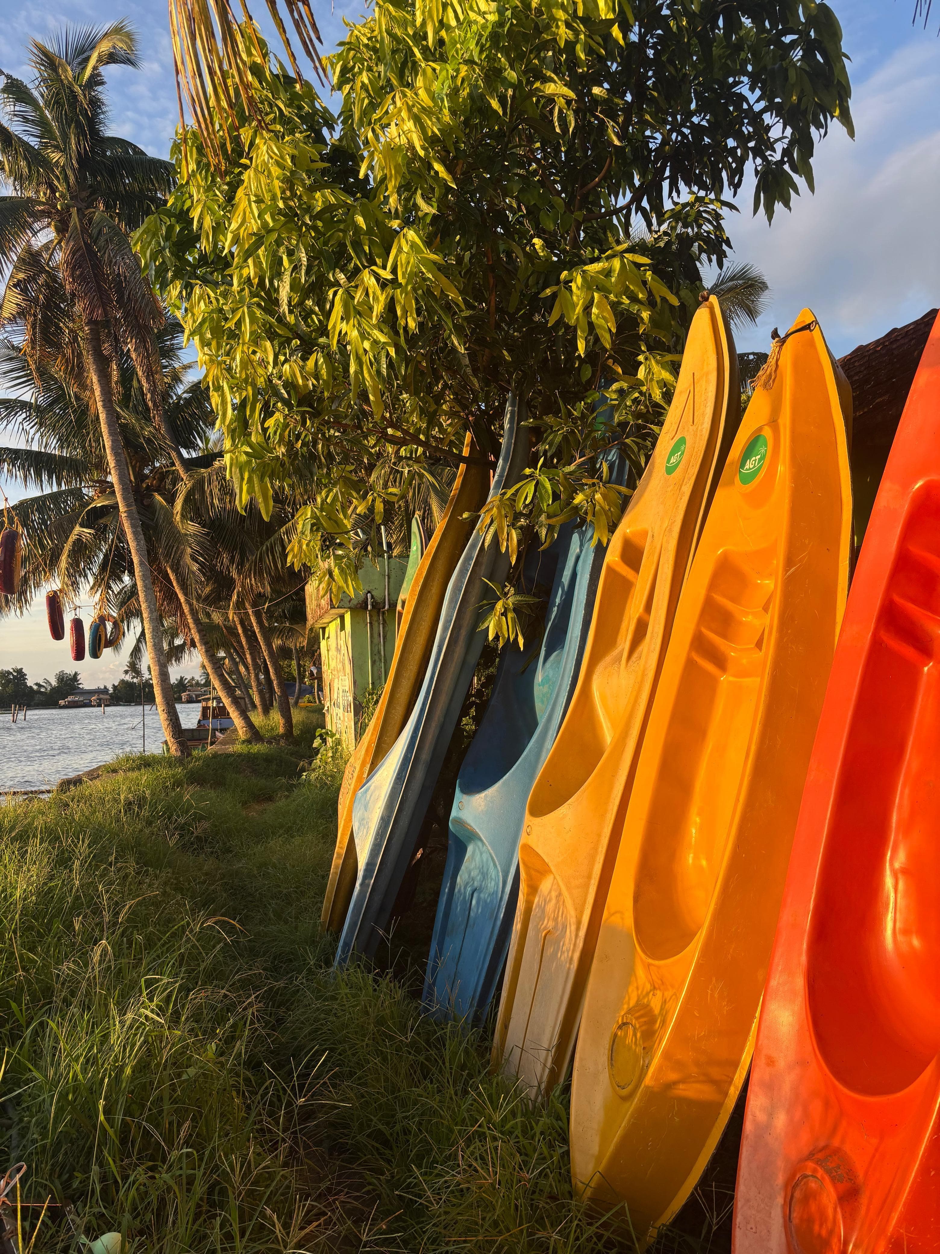 Kayak